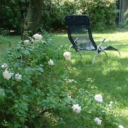 Апартаменты Schoene In Ebersdorf Mit Grill Und Garten