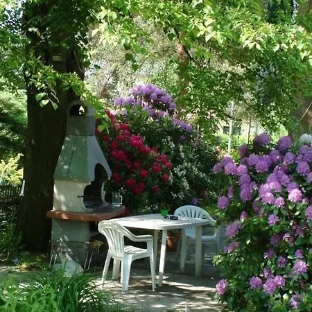 Апартаменты Schoene In Ebersdorf Mit Grill Und Garten *